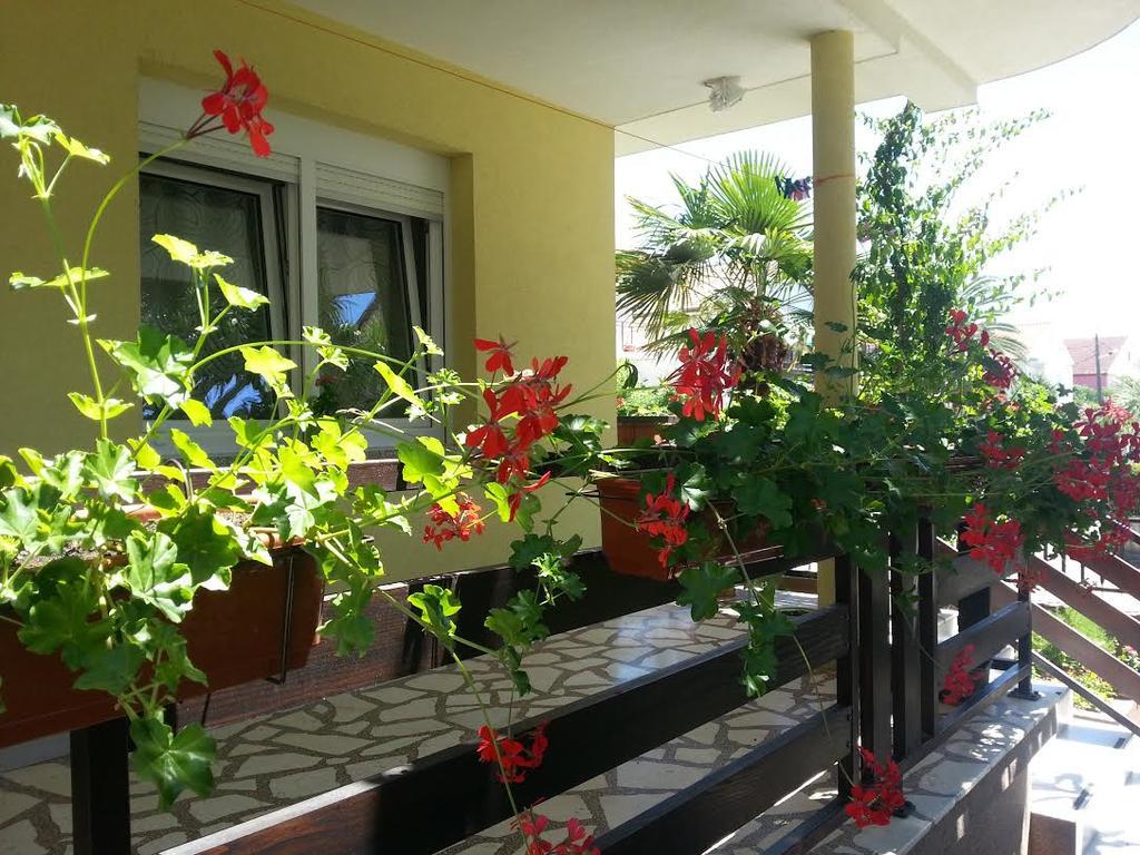Apartment Perunika Zadar Bagian luar foto